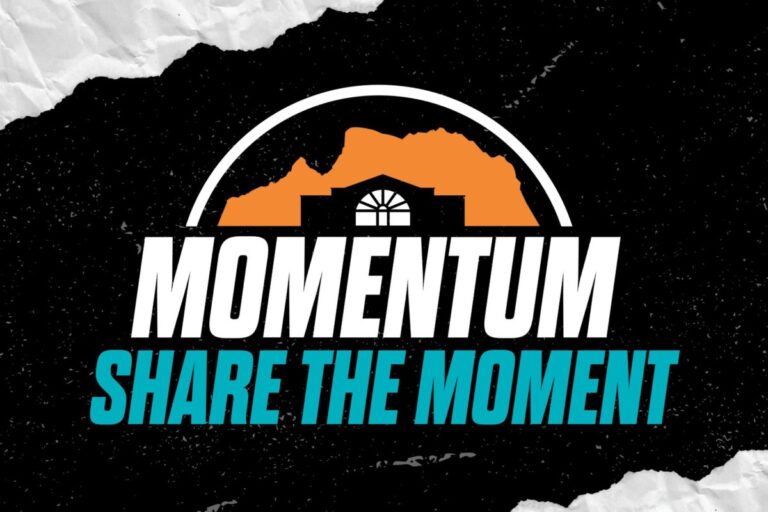 Momentum