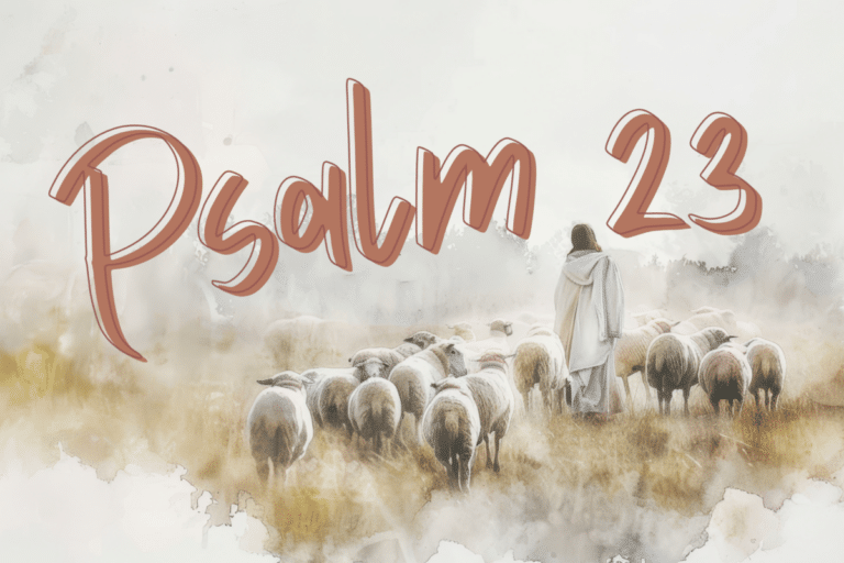 Psalm 23 – Part 3: The Shepherd Who Pursues Me